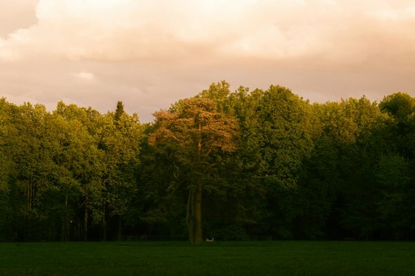 Réussir ses études de santé à Besançon : guide pratique et conseils